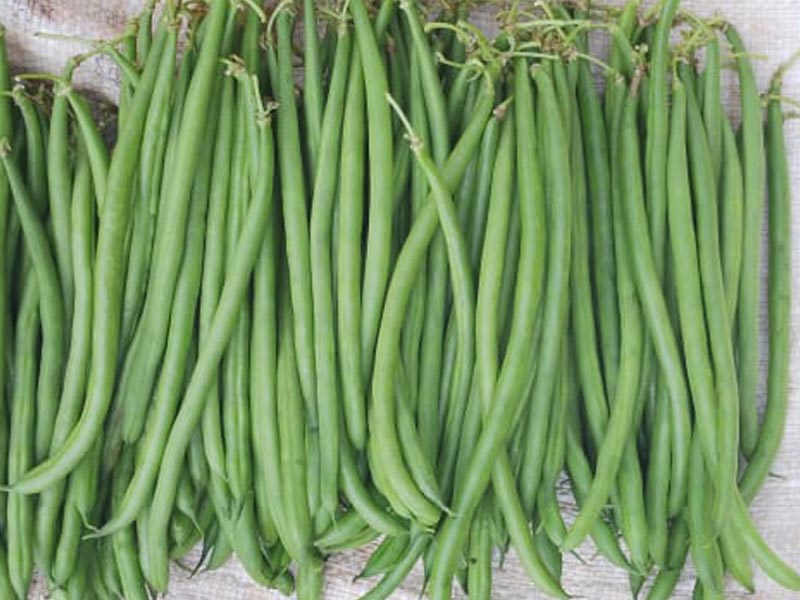 Calibrage des haricots verts